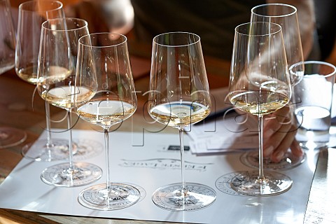 Glasses with white wine for tasting Austria