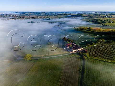 Morning fog in the Garonne Valley at Loupiac  Gironde France  Cadillac Ctes de Bordeaux
