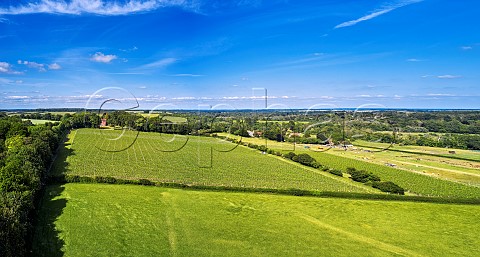 Leckford Estate vineyard of Waitrose Leckford Hampshire England