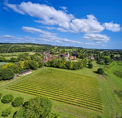 Goodworth Clatford Vineyard and St Peters Church Goodworth Clatford Hampshire England