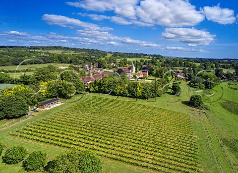 Goodworth Clatford Vineyard and St Peters Church Goodworth Clatford Hampshire England
