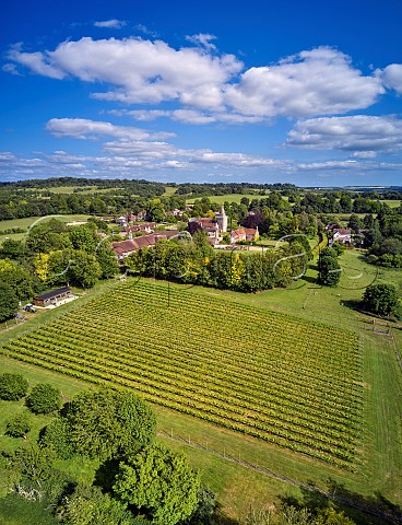 Goodworth Clatford Vineyard and St Peters Church Goodworth Clatford Hampshire England