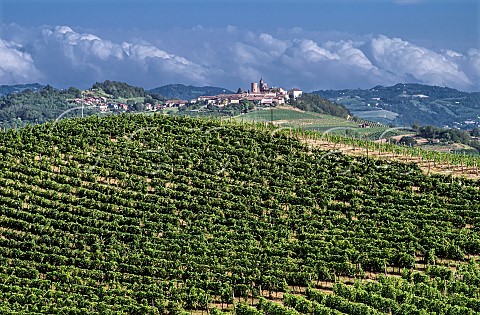 Fav vineyard of Tenuta Garetto planted to Barbera Agliano Terme Piedmont Italy