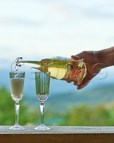 Pouring glass of Teklas pet nat at Ucha winery Imereti Valley Georgia