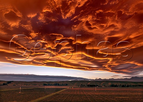 Clouds at sunset over vineyards in the Omaka Valley with the Richmond Ranges in distance Marlborough New Zealand